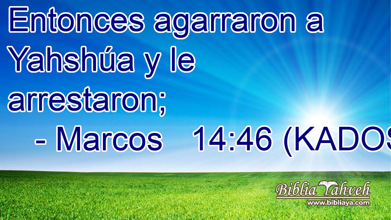  Entonces agarraron a Yahshúa y le arrestaron; 