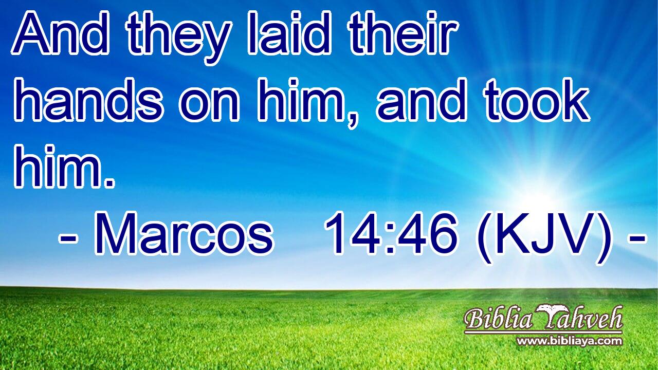 And they laid their hands on him, and took him.
