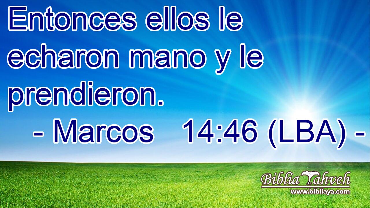 Entonces ellos le echaron mano y le prendieron.