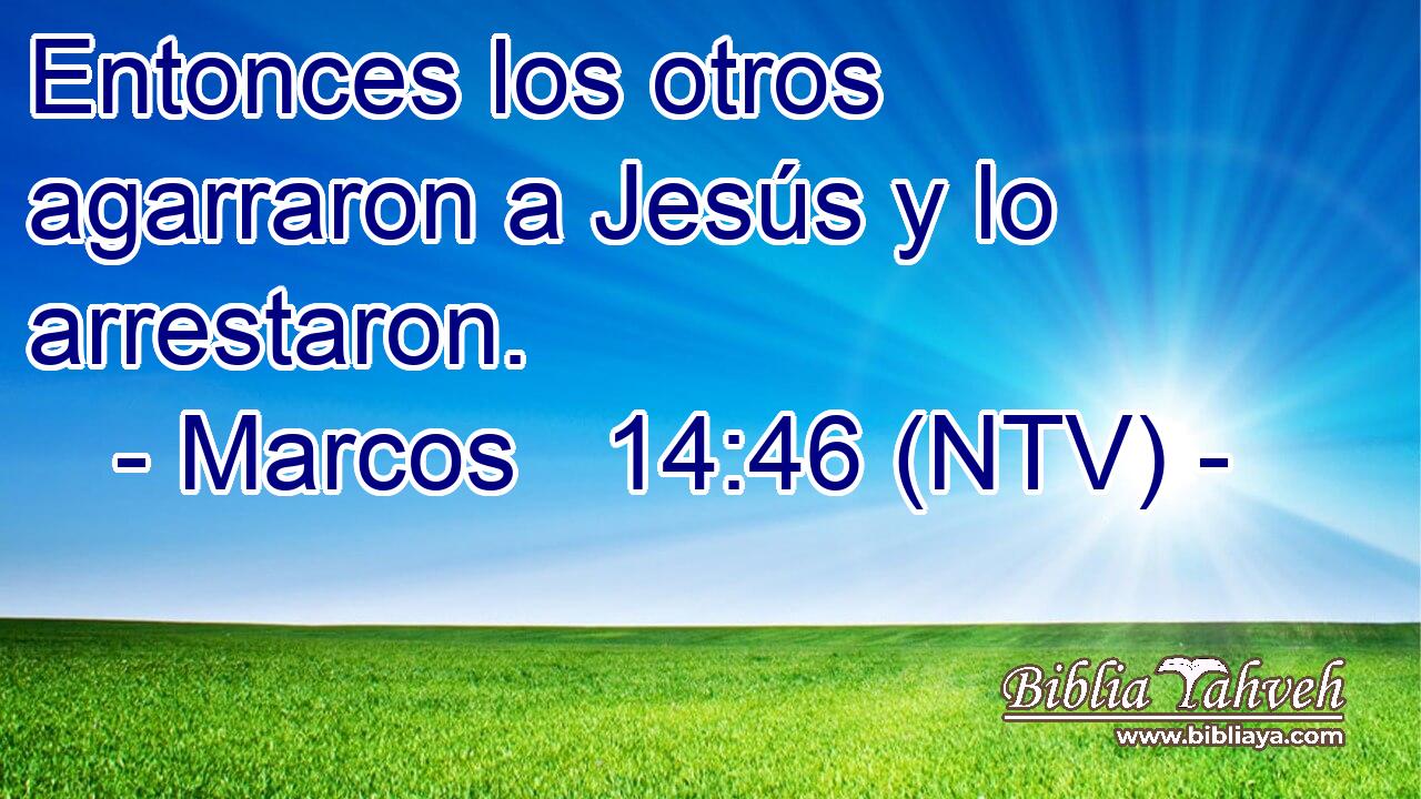 Entonces los otros agarraron a Jesús y lo arrestaron.
