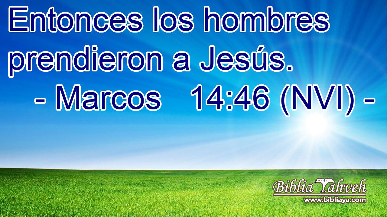  Entonces los hombres prendieron a Jesús. 