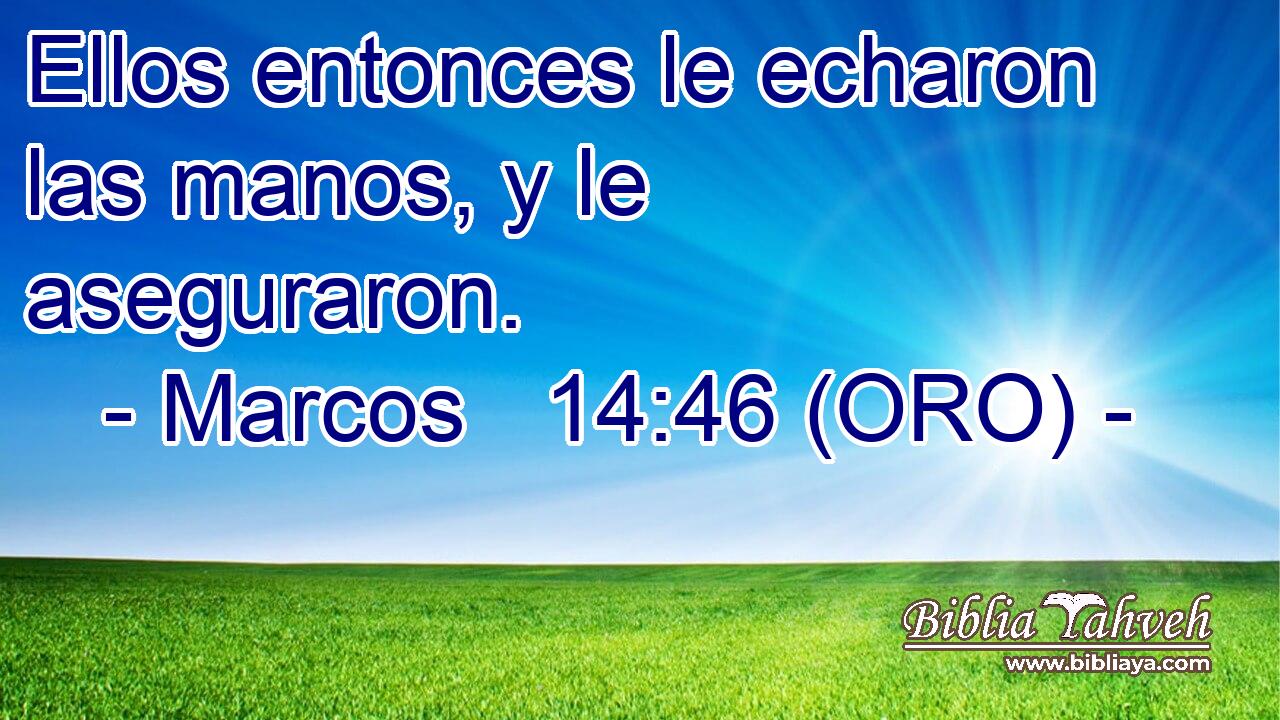  Ellos entonces le echaron las manos, y le aseguraron. 