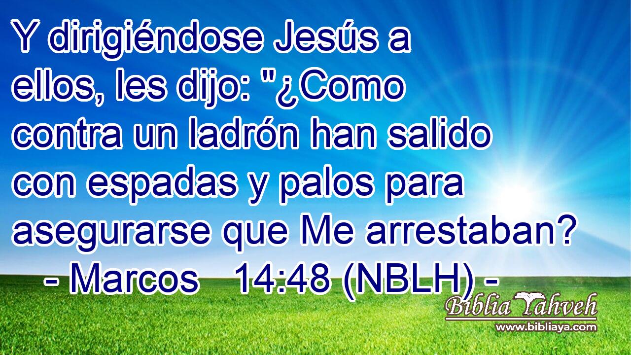  Y dirigiéndose Jesús a ellos, les dijo: 