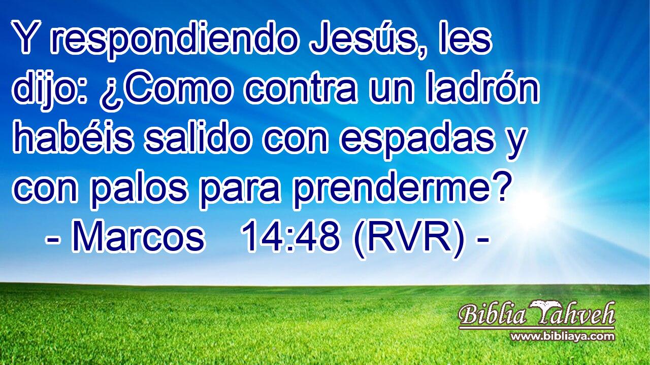 Y respondiendo Jesús, les dijo: ¿Como contra un ladrón habéis salido con espadas y con palos para prenderme?