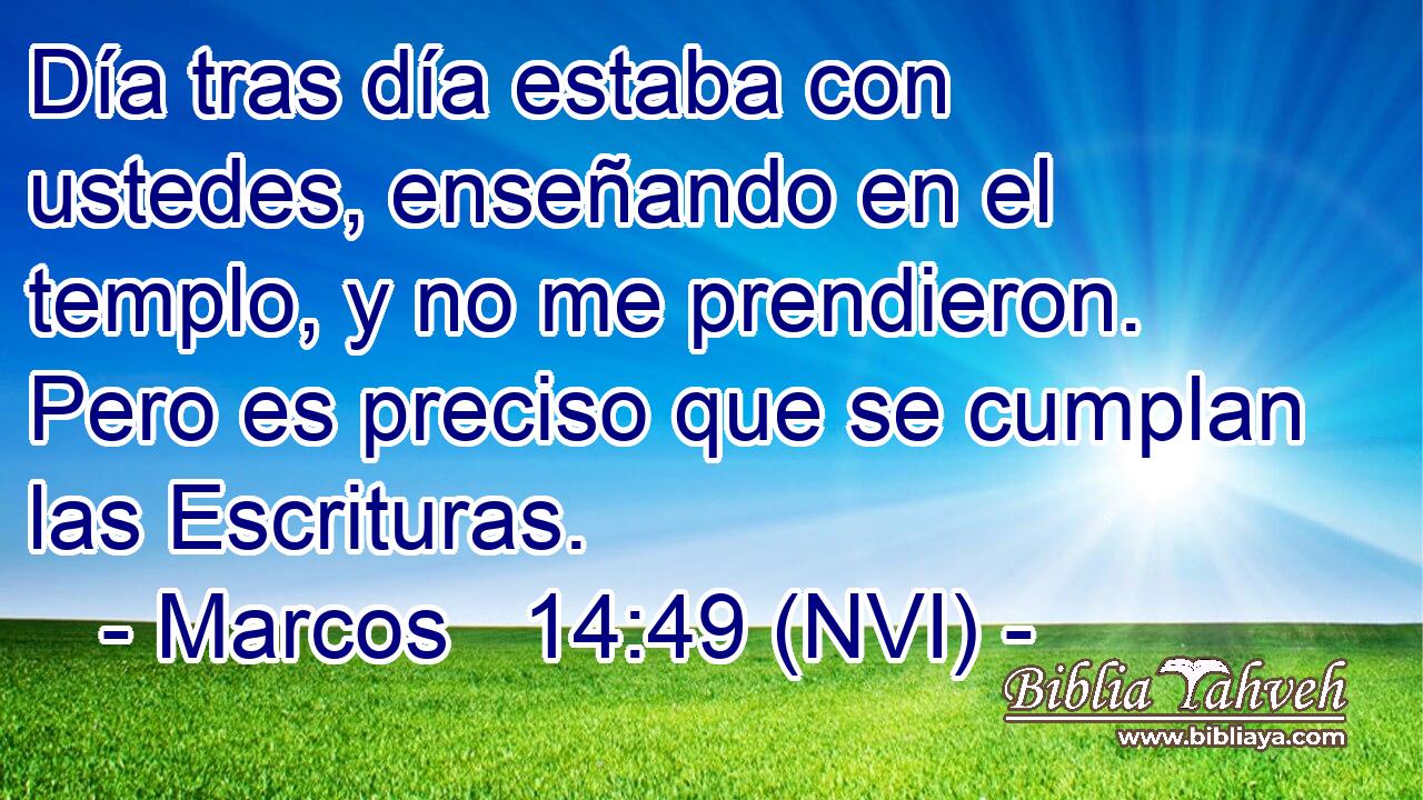  Día tras día estaba con ustedes, enseñando en el templo, y no me prendieron. Pero es preciso que se cumplan las Escrituras. 