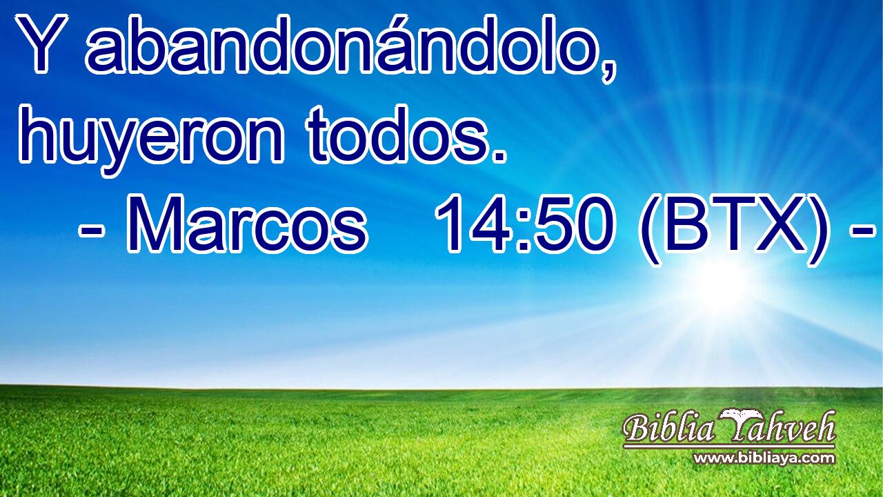 Y abandonándolo, huyeron todos.