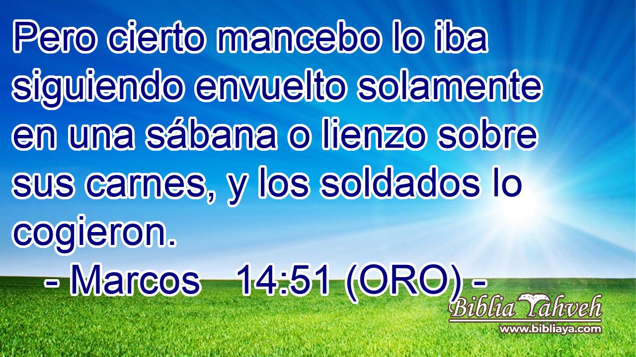  Pero cierto mancebo lo iba siguiendo envuelto solamente en una sábana o lienzo sobre sus carnes, y los soldados lo cogieron. 