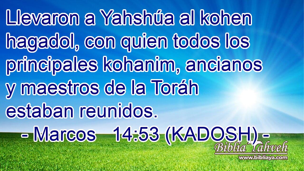  Llevaron a Yahshúa al kohen hagadol, con quien todos los principales kohanim, ancianos y maestros de la Toráh estaban reunidos. 