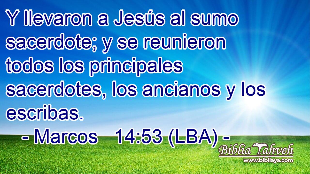 Y llevaron a Jesús al sumo sacerdote; y se reunieron todos los principales sacerdotes, los ancianos y los escribas.