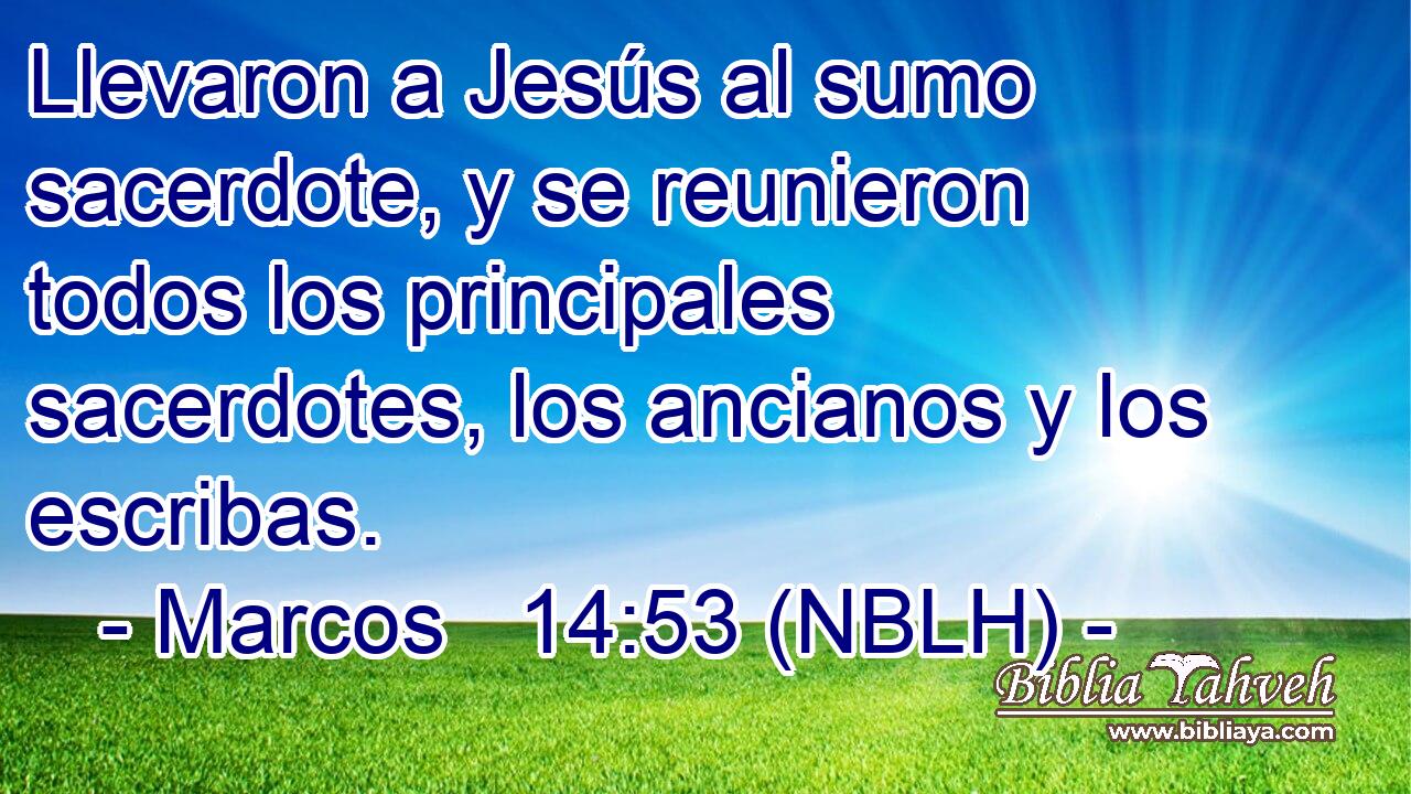  Llevaron a Jesús al sumo sacerdote, y se reunieron todos los principales sacerdotes, los ancianos y los escribas. 