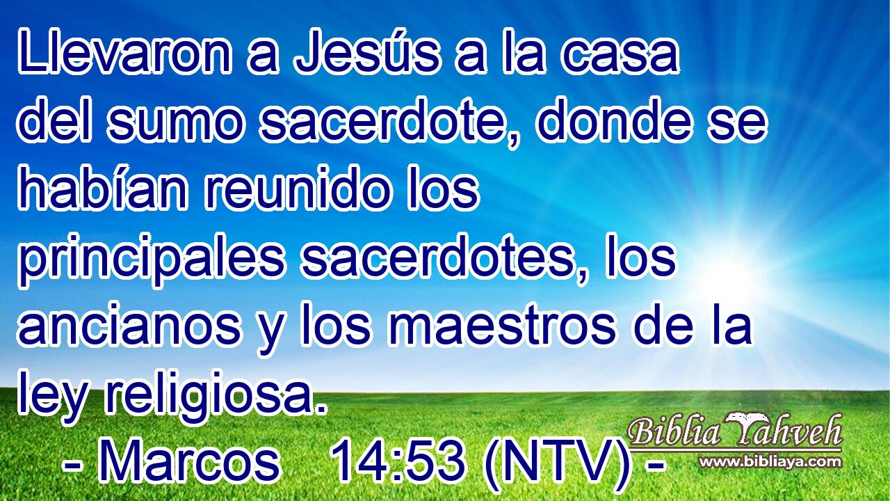 Llevaron a Jesús a la casa del sumo sacerdote, donde se habían reunido los principales sacerdotes, los ancianos y los maestros de la ley religiosa.