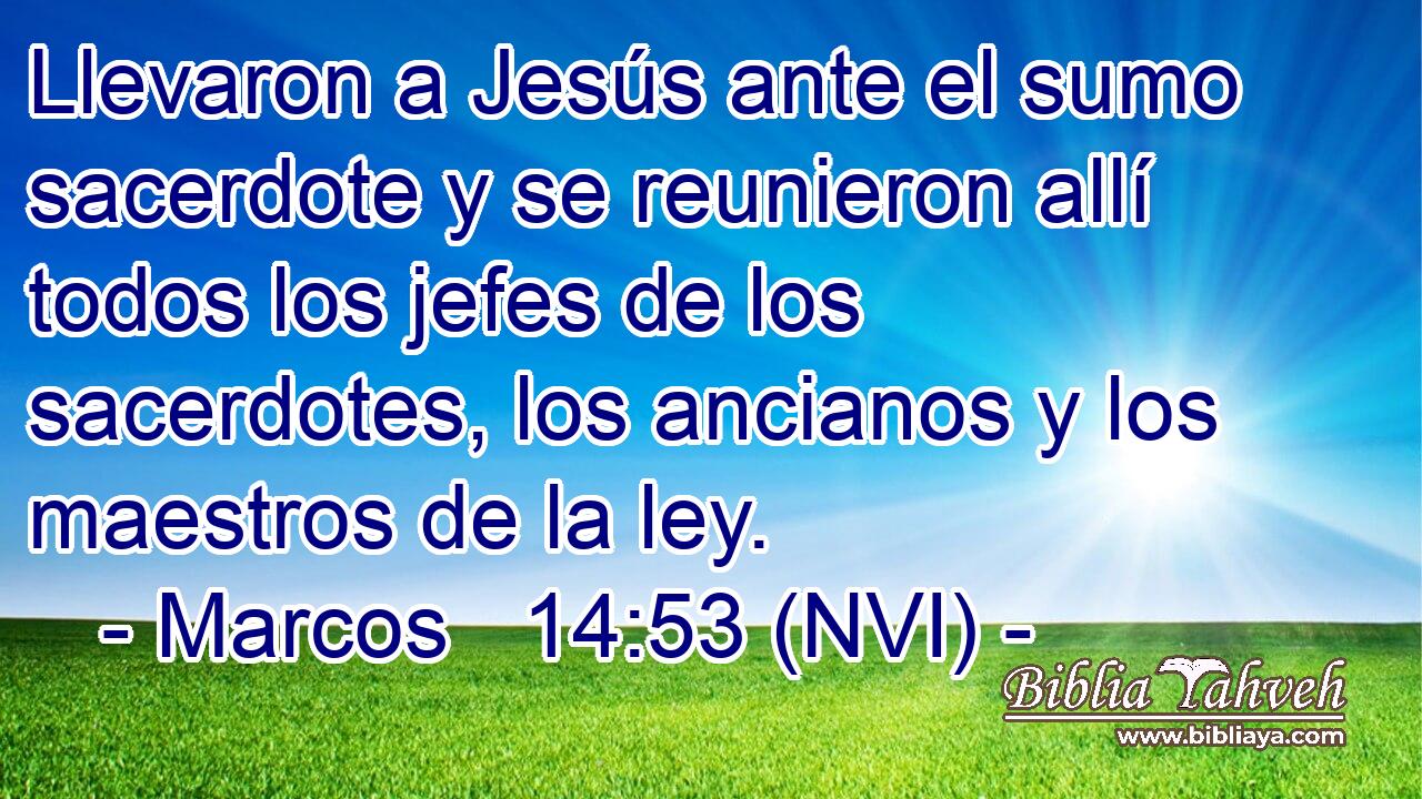  Llevaron a Jesús ante el sumo sacerdote y se reunieron allí todos los jefes de los sacerdotes, los ancianos y los maestros de la ley. 