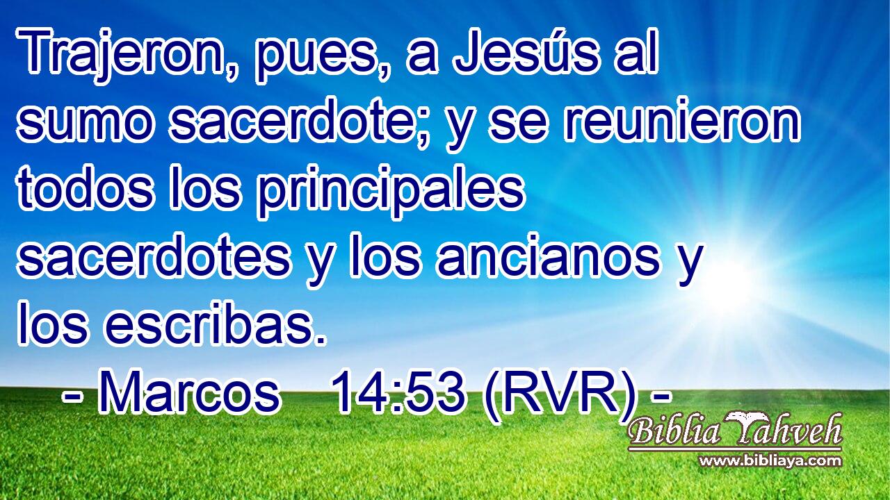 Trajeron, pues, a Jesús al sumo sacerdote; y se reunieron todos los principales sacerdotes y los ancianos y los escribas.