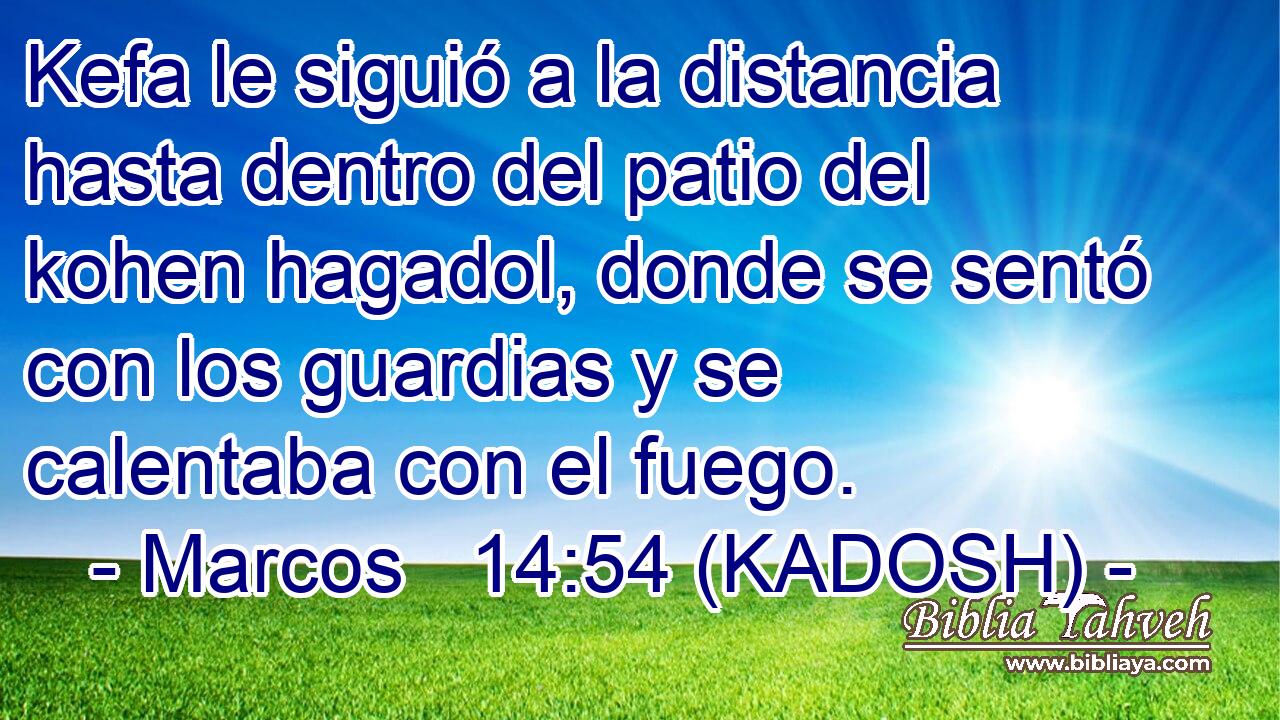  Kefa le siguió a la distancia hasta dentro del patio del kohen hagadol, donde se sentó con los guardias y se calentaba con el fuego. 