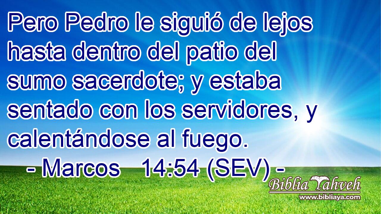 Pero Pedro le siguió de lejos hasta dentro del patio del sumo sacerdote; y estaba sentado con los servidores, y calentándose al fuego.