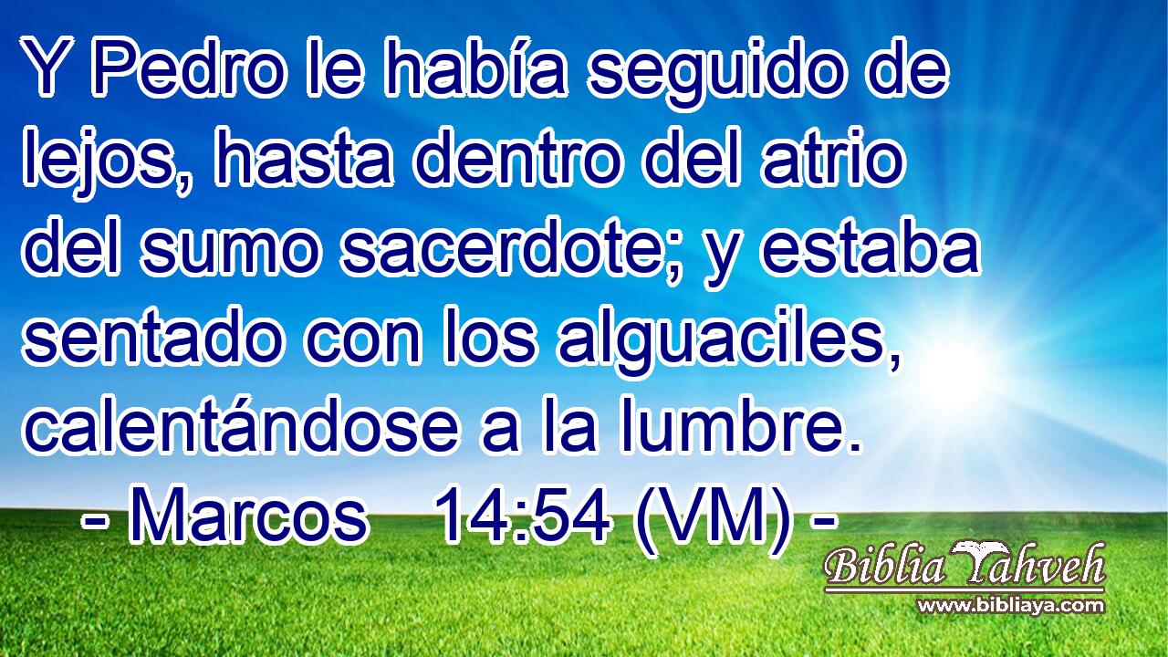  Y Pedro le había seguido de lejos, hasta dentro del atrio del sumo sacerdote; y estaba sentado con los alguaciles, calentándose a la lumbre. 