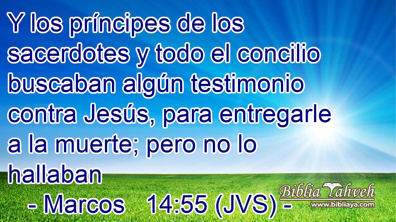 Y los príncipes de los sacerdotes y todo el concilio buscaban algún testimonio contra Jesús, para entregarle a la muerte; pero no lo hallaban