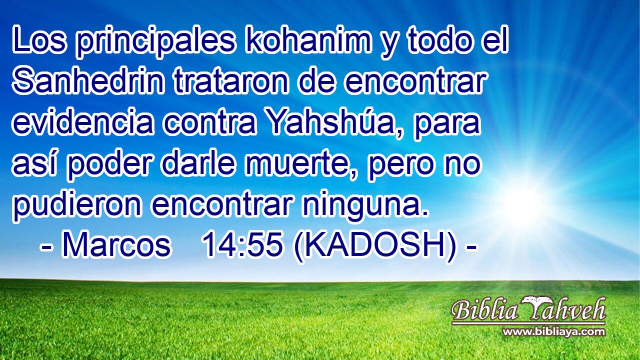  Los principales kohanim y todo el Sanhedrin trataron de encontrar evidencia contra Yahshúa, para así poder darle muerte, pero no pudieron encontrar ninguna. 