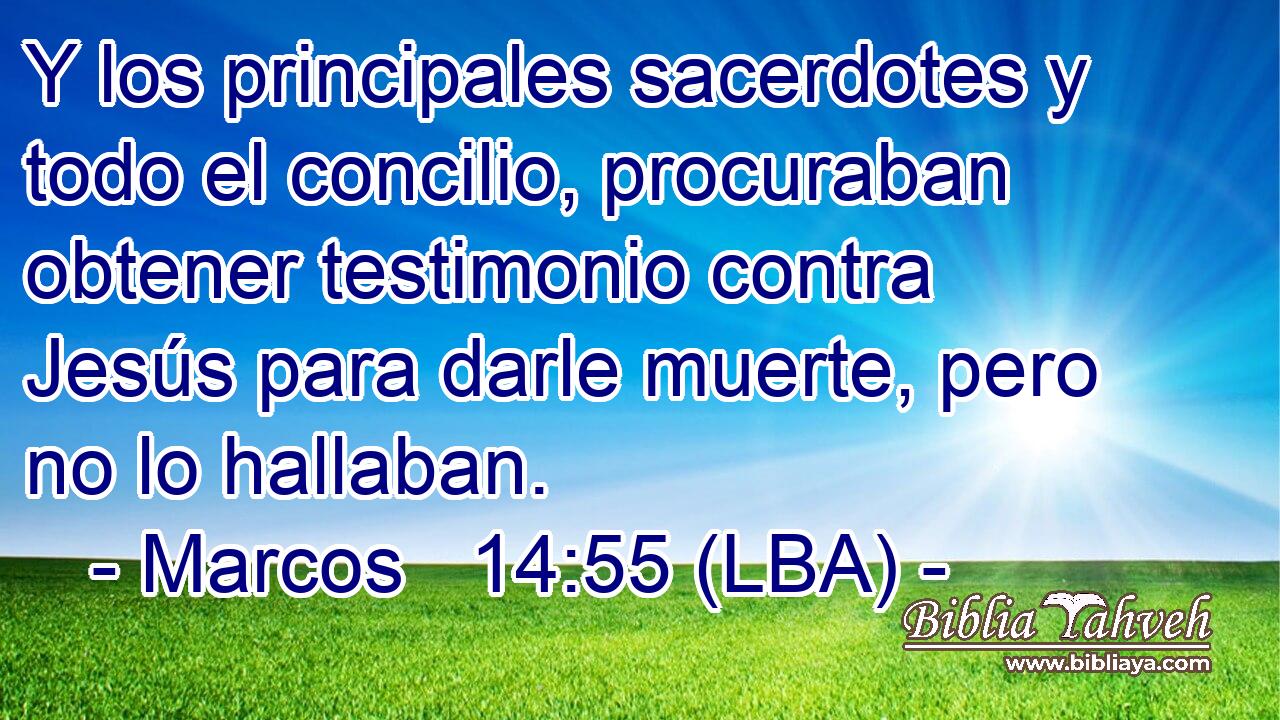 Y los principales sacerdotes y todo el concilio, procuraban obtener testimonio contra Jesús para darle muerte, pero no lo hallaban.