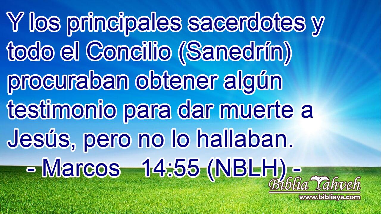  Y los principales sacerdotes y todo el Concilio (Sanedrín) procuraban obtener algún testimonio para dar muerte a Jesús, pero no lo hallaban. 
