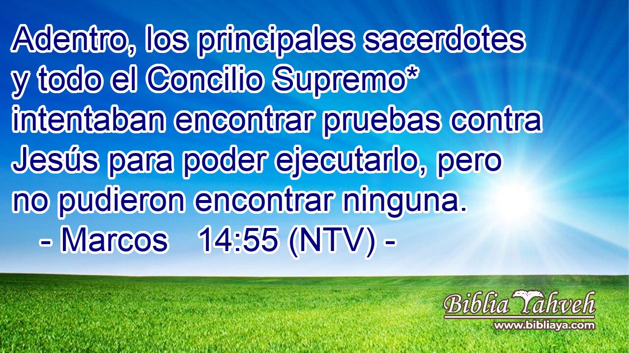 Adentro, los principales sacerdotes y todo el Concilio Supremo* intentaban encontrar pruebas contra Jesús para poder ejecutarlo, pero no pudieron encontrar ninguna.