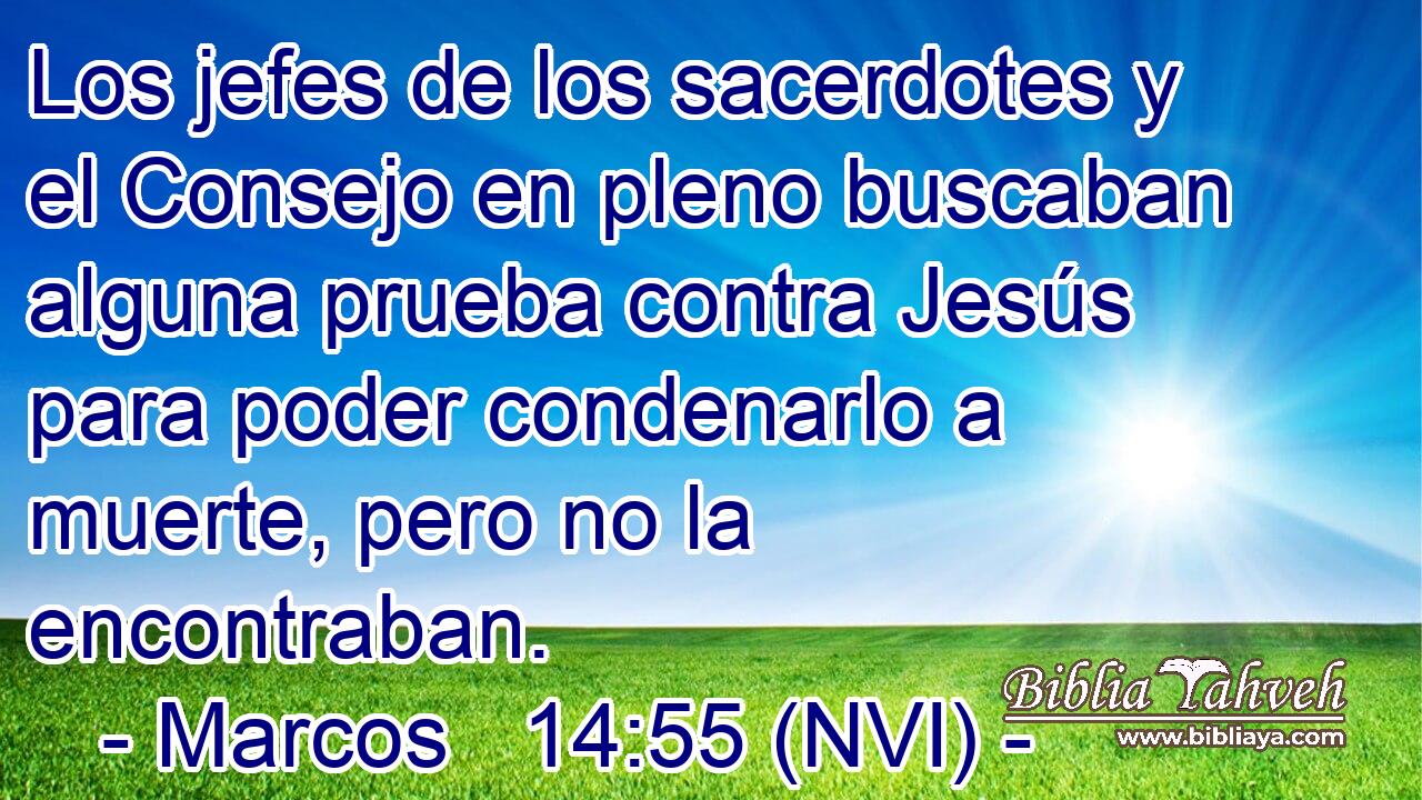  Los jefes de los sacerdotes y el Consejo en pleno buscaban alguna prueba contra Jesús para poder condenarlo a muerte, pero no la encontraban. 
