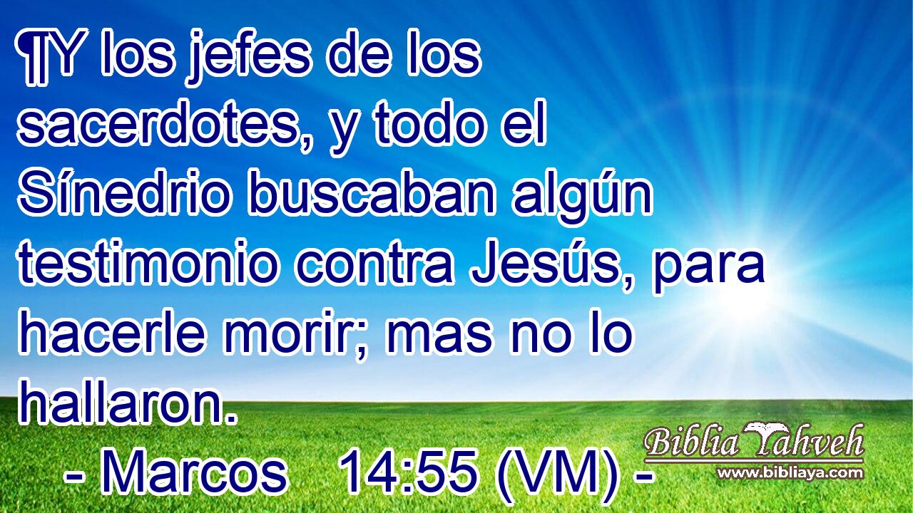  ¶Y los jefes de los sacerdotes, y todo el Sínedrio buscaban algún testimonio contra Jesús, para hacerle morir; mas no lo hallaron. 