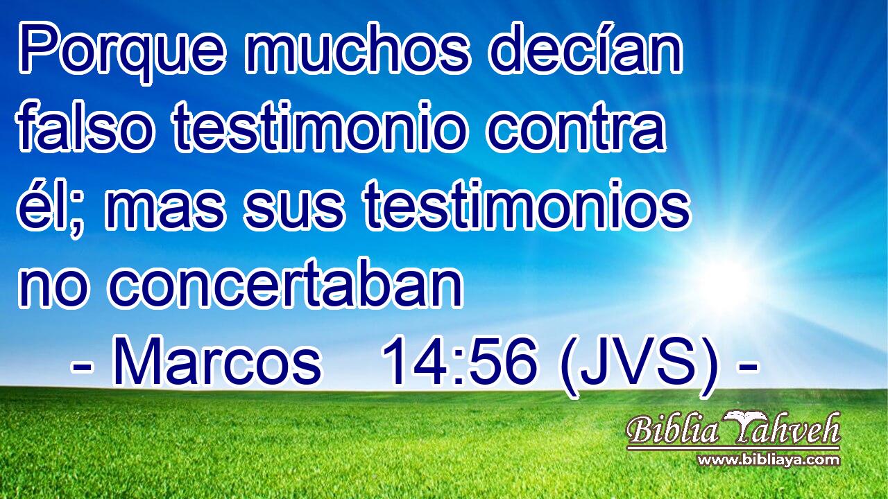 Porque muchos decían falso testimonio contra él; mas sus testimonios no concertaban