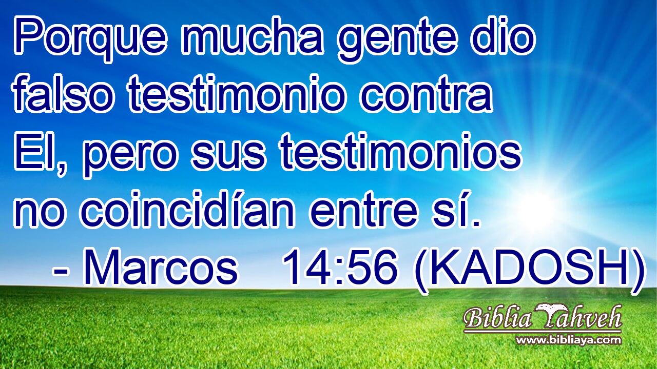  Porque mucha gente dio falso testimonio contra El, pero sus testimonios no coincidían entre sí. 