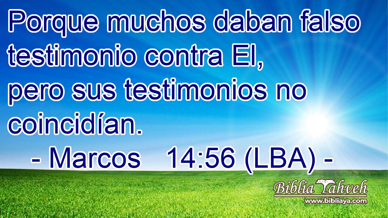 Porque muchos daban falso testimonio contra El, pero sus testimonios no coincidían.