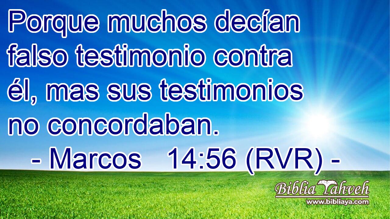 Porque muchos decían falso testimonio contra él, mas sus testimonios no concordaban.