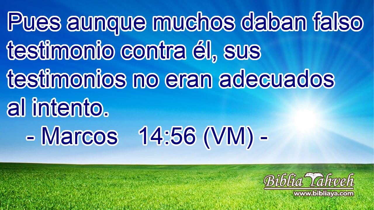  Pues aunque muchos daban falso testimonio contra él, sus testimonios no eran adecuados al intento. 