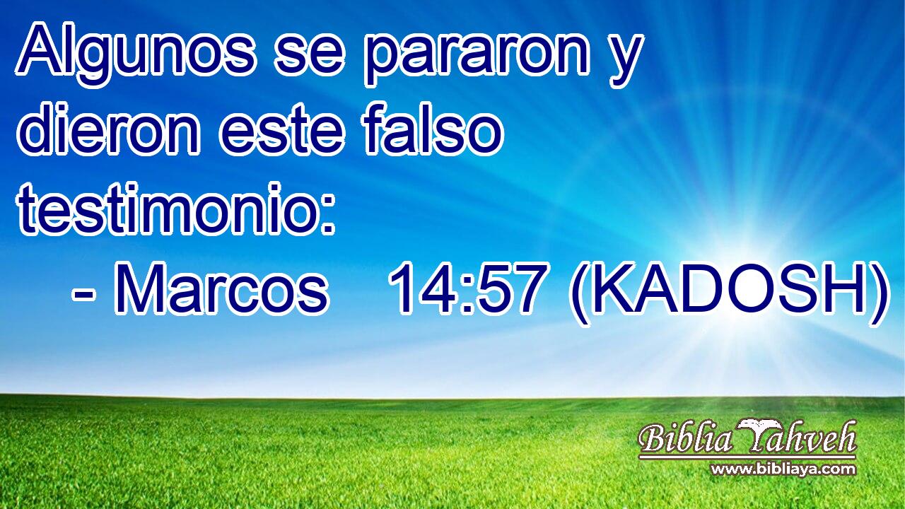 Algunos se pararon y dieron este falso testimonio: 