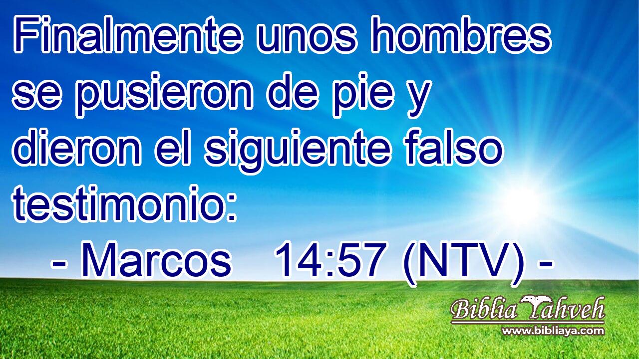 Finalmente unos hombres se pusieron de pie y dieron el siguiente falso testimonio: