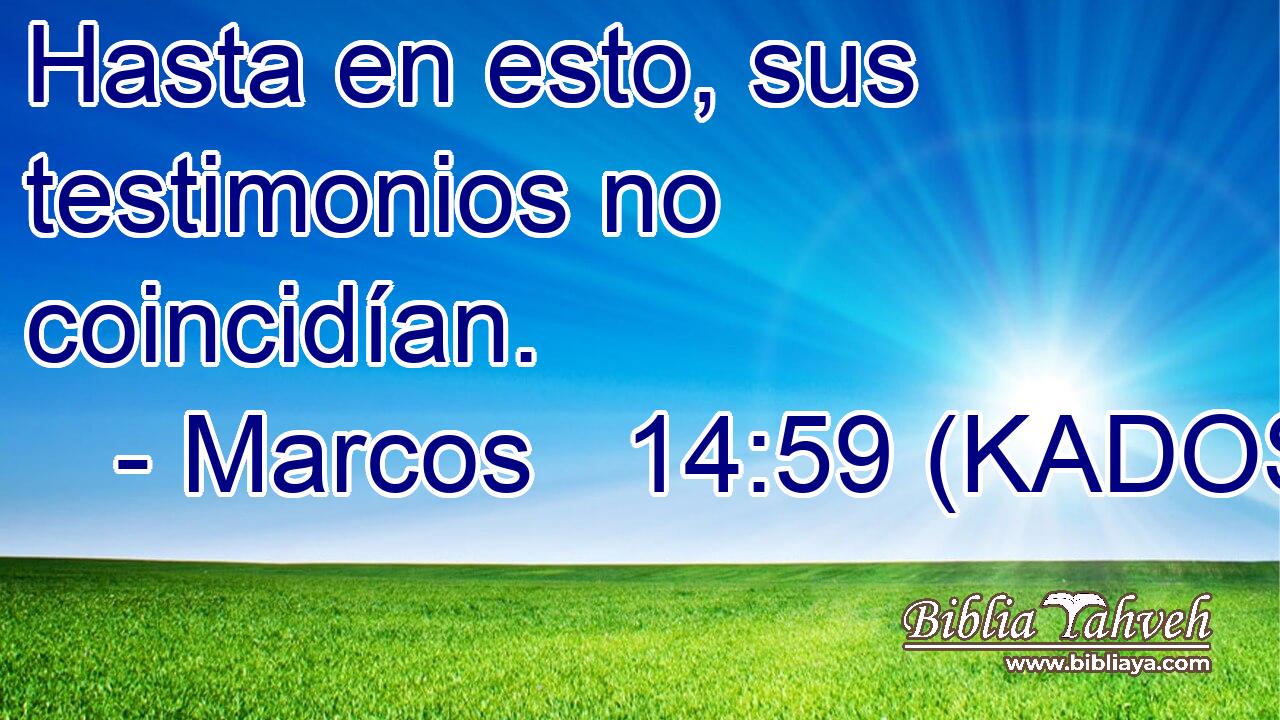  Hasta en esto, sus testimonios no coincidían. 
