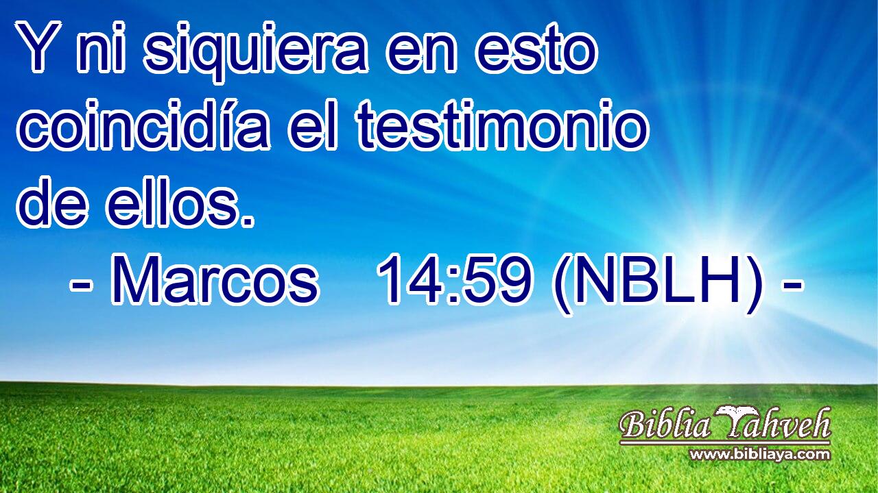  Y ni siquiera en esto coincidía el testimonio de ellos. 