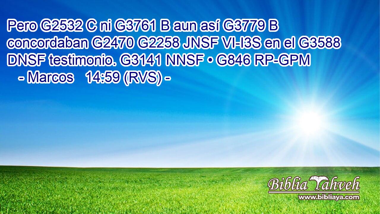 Pero G2532 C ni G3761 B aun así G3779 B concordaban G2470 G2258 JNSF VI-I3S en el G3588 DNSF testimonio. G3141 NNSF • G846 RP-GPM 