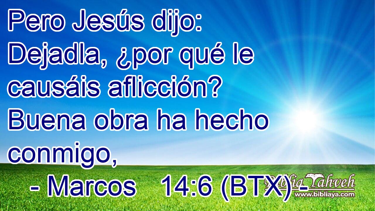 Pero Jesús dijo: Dejadla, ¿por qué le causáis aflicción? Buena obra ha hecho conmigo,