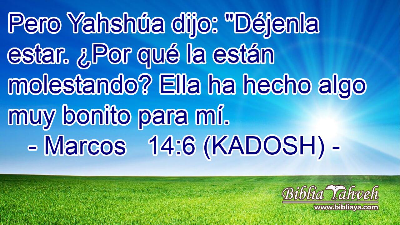  Pero Yahshúa dijo: 