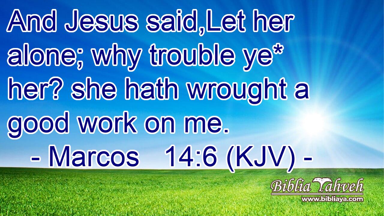 And Jesus said,Let her alone; why trouble ye* her? she hath wrought a good work on me.