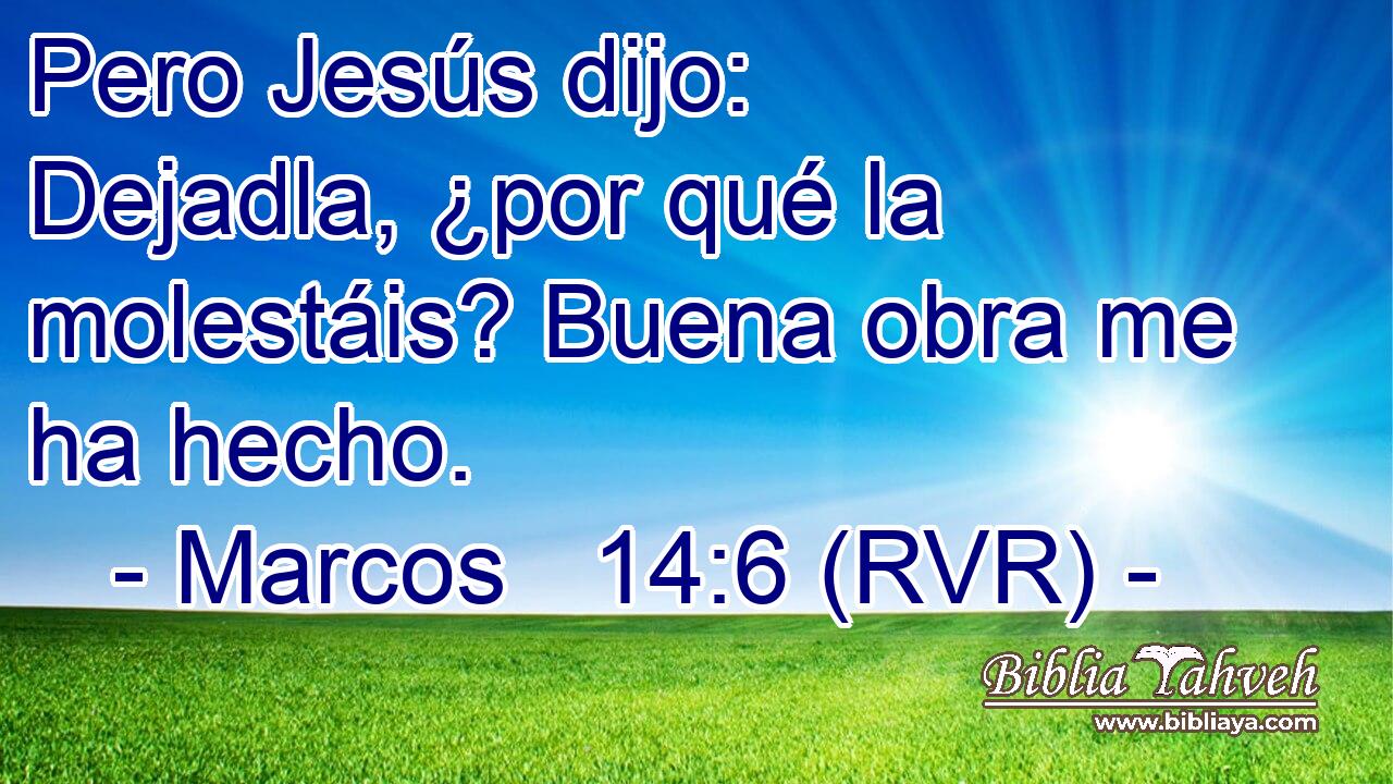 Pero Jesús dijo: Dejadla, ¿por qué la molestáis? Buena obra me ha hecho.