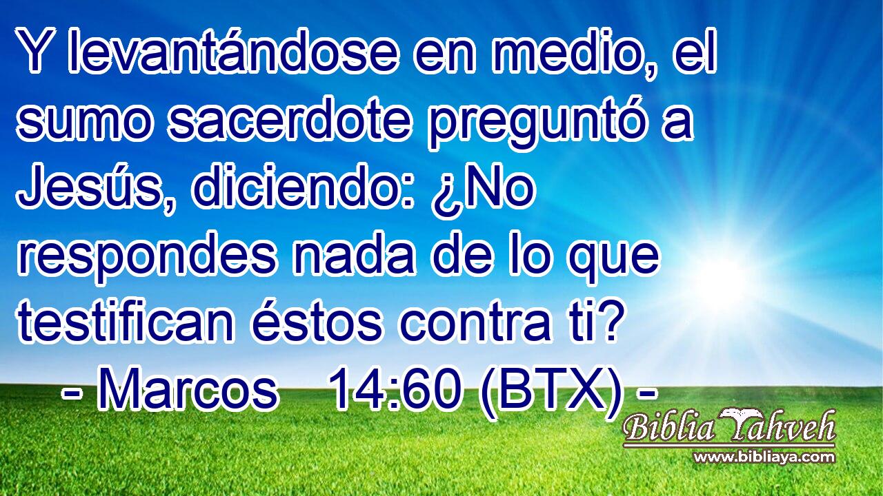 Y levantándose en medio, el sumo sacerdote preguntó a Jesús, diciendo: ¿No respondes nada de lo que testifican éstos contra ti?