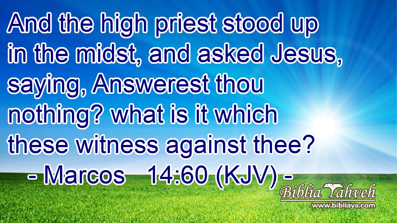 And the high priest stood up in the midst, and asked Jesus, saying, Answerest thou nothing? what is it which these witness against thee?