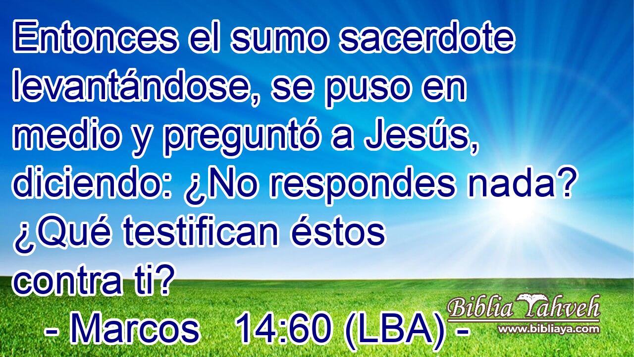 Entonces el sumo sacerdote levantándose, se puso en medio y preguntó a Jesús, diciendo: ¿No respondes nada? ¿Qué testifican éstos contra ti?