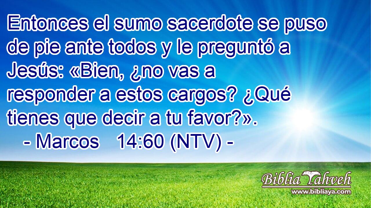 Entonces el sumo sacerdote se puso de pie ante todos y le preguntó a Jesús: «Bien, ¿no vas a responder a estos cargos? ¿Qué tienes que decir a tu favor?».