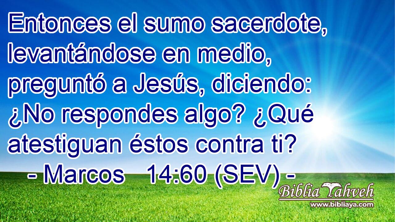 Entonces el sumo sacerdote, levantándose en medio, preguntó a Jesús, diciendo: ¿No respondes algo? ¿Qué atestiguan éstos contra ti?