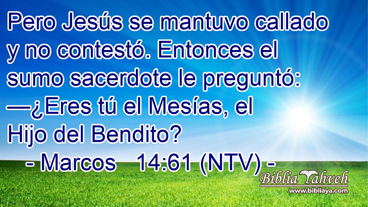 Pero Jesús se mantuvo callado y no contestó. Entonces el sumo sacerdote le preguntó: —¿Eres tú el Mesías, el Hijo del Bendito?
