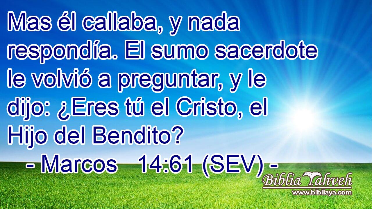 Mas él callaba, y nada respondía. El sumo sacerdote le volvió a preguntar, y le dijo: ¿Eres tú el Cristo, el Hijo del Bendito?