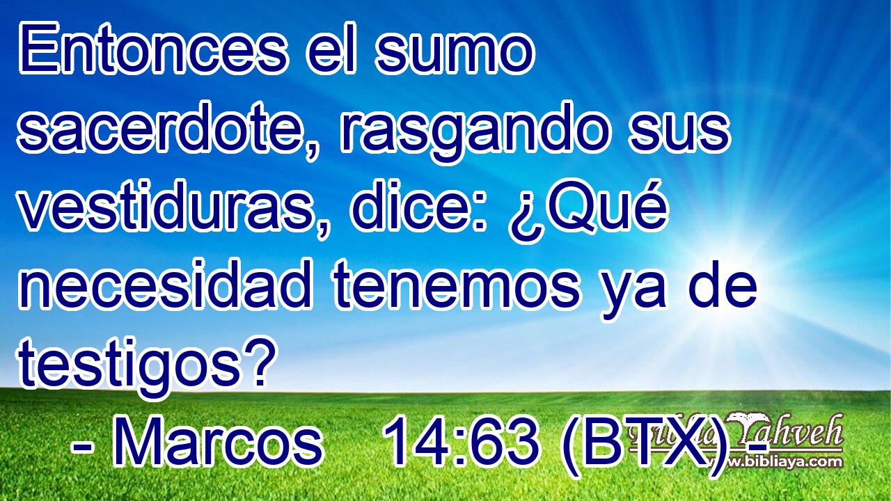 Entonces el sumo sacerdote, rasgando sus vestiduras, dice: ¿Qué necesidad tenemos ya de testigos?