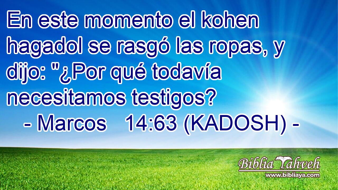  En este momento el kohen hagadol se rasgó las ropas, y dijo: 